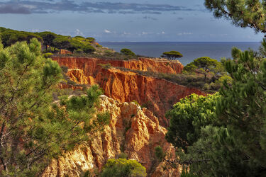Bild mit Bäume, Felsen, Mittelmeer, Felsenküste, Portugal, Pinienbäume, Rotsandstein, Algarve, Falesia, Albufeira