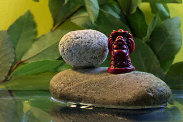 Bild mit Wasser, Pflanzen, Steine, Makro, Licht, Buddha, nahaufnahme, Schatten, Symbol, figur