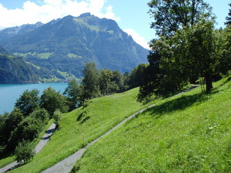 Bild mit Natur, Wiese, berg, Schweiz