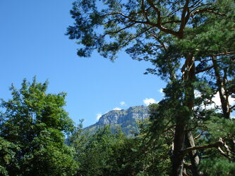 Bild mit Natur, Himmel, Bäume, Blauer Himmel, Schweiz