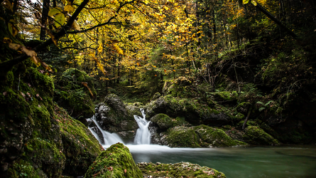 Bergbach im Herbstwald