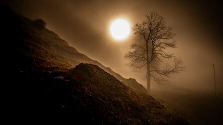 Bild mit Nebel, Landschaftspanorama, Morgenstimmung, Nebelauflösung, Nebelschwaden, morgennebel