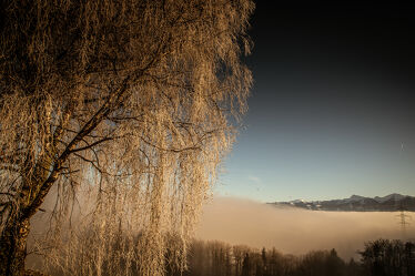 Bild mit Laubbäume, Nebel, Panorama, Sonnen Himmel, Nebelmeer