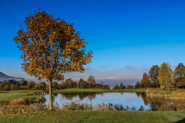Bild mit Laubbäume, Herbstblätter, Teich, Landschaften im Herbst