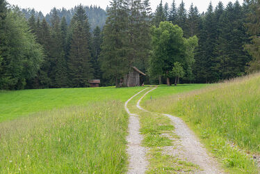 Bild mit Landschaften, Wald, Waldlichtung, Waldweg, Haus, Landschaft, Wanderweg, landscape, waldwege