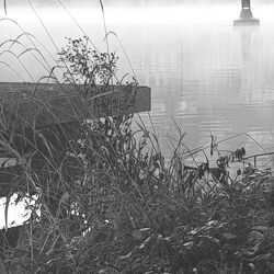 Bild mit Nebel, Anleger, Nebelwolken, morgennebel, Anlegestelle