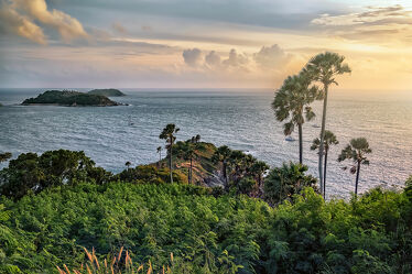 Bild mit Palmen, Inseln, Meerblick, Sonnenuntergänge, asien, südostasien, Aussichtspunkt, Thailand, Phuket