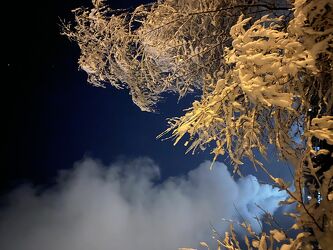 Bild mit Winter, Schnee, Baum