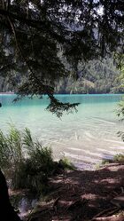 Bild mit Natur, Seen, Waldsee, glasklar
