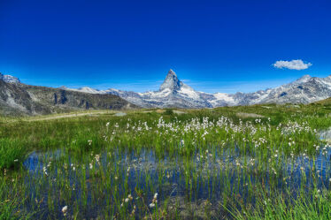 Bild mit Natur, Berge, Landschaft, Schweiz, Wallis, Matterhorn, Zermatt