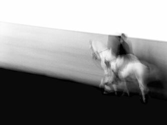 Bild mit Pferd, Wien, schwarz weiß, Reiter, Bewegung, Bewegung, Schimmel, dynamik, bewegungsunschärfe