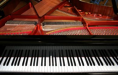 Bild mit Musikinstrumente, Flügel, Klavier, Klavierflügel, Tasteninstrument, Instrument, Musikinstrument, Piano
